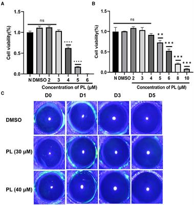 Plumbagin inhibits fungal growth, HMGB1/LOX-1 pathway and inflammatory factors in A. fumigatus keratitis